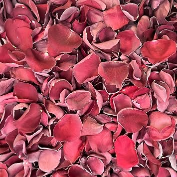 Rose Petals for Wedding Decoration, Bridal Toss, and Aisles, Freeze Dried, Use within 1 month Burgundy, 2 cup Sample