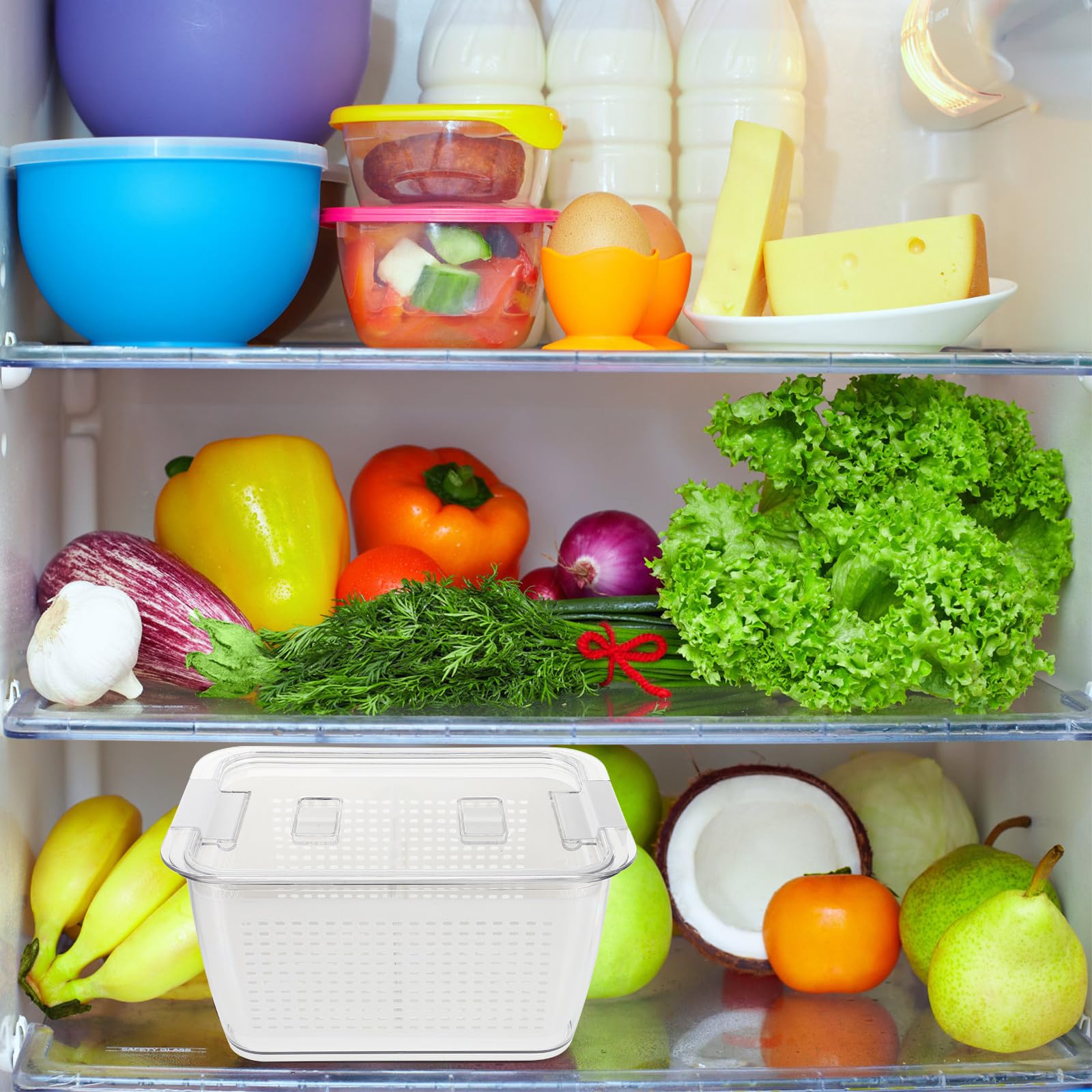 Gadpiparty Multifunktionale Frischebox mit Abtropfkorb und Deckel für Obst und Gemüse in Küche Luftdichte Aufbewahrungsbox aus Pet Pp und Abs für Zuhause