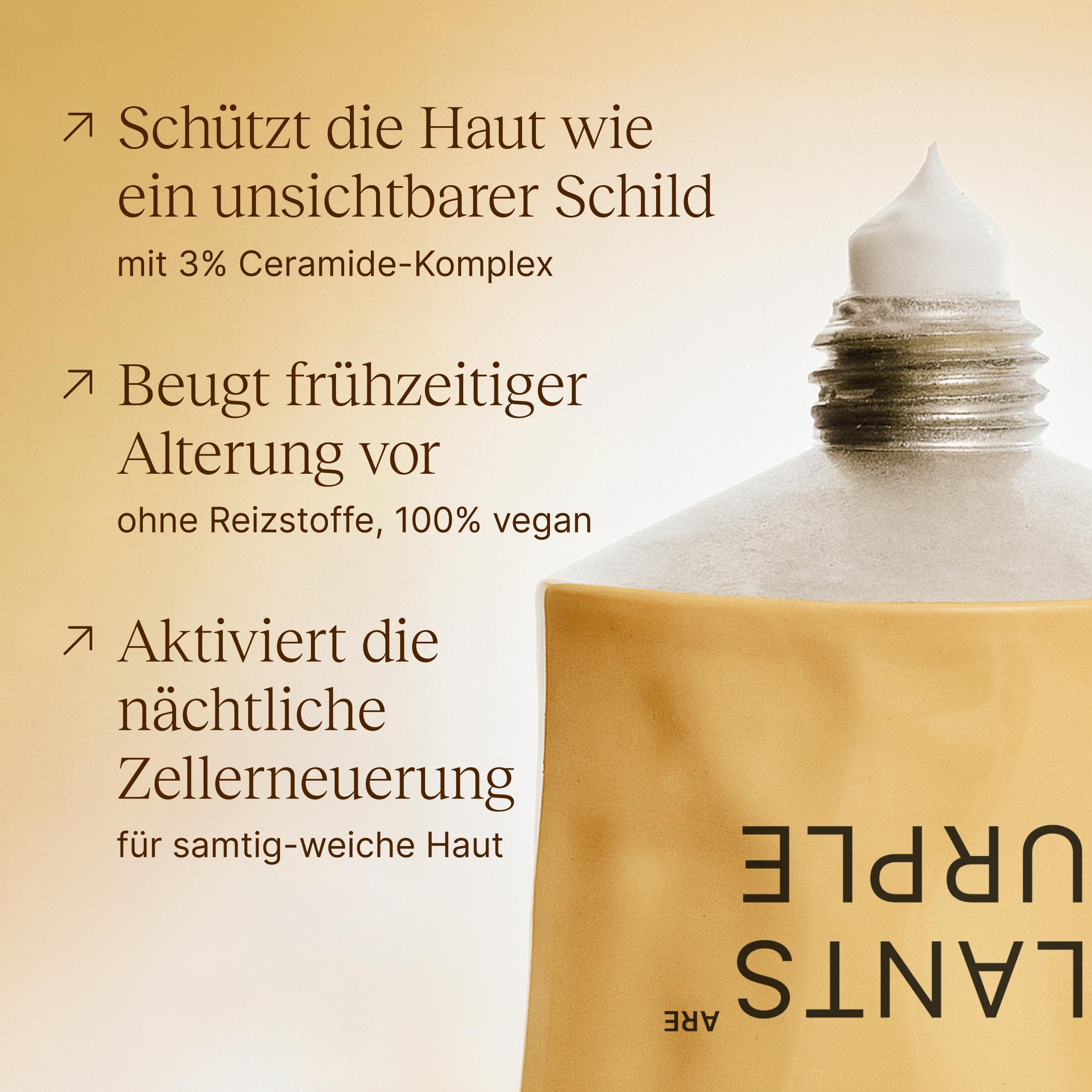 Regenerierende Nachtcreme mit 3 % Ceramide-Komplex – leichte Formel mit Q10 & Panthenol zur Stärkung der Hautbarriere & Regeneration I Für alle Hauttypen I Vegan & cruelty-free