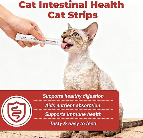 Miniatura 2 de Barras probióticas para gatos  8 probióticos altamente activos + prebióticos  Salud gastrointestinal  Sabor a pollo  Fácil de digerir  Combatiente