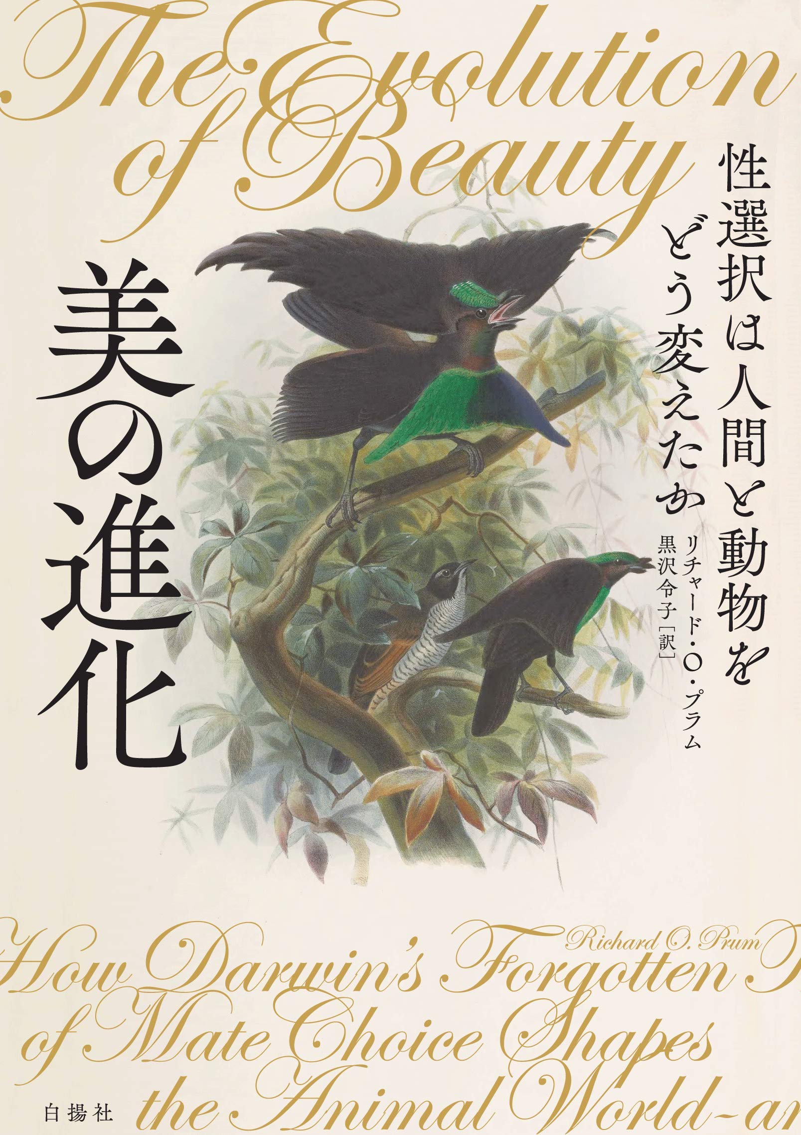美の進化ー性選択は人間と動物をどう変えたか | リチャード・O・プラム