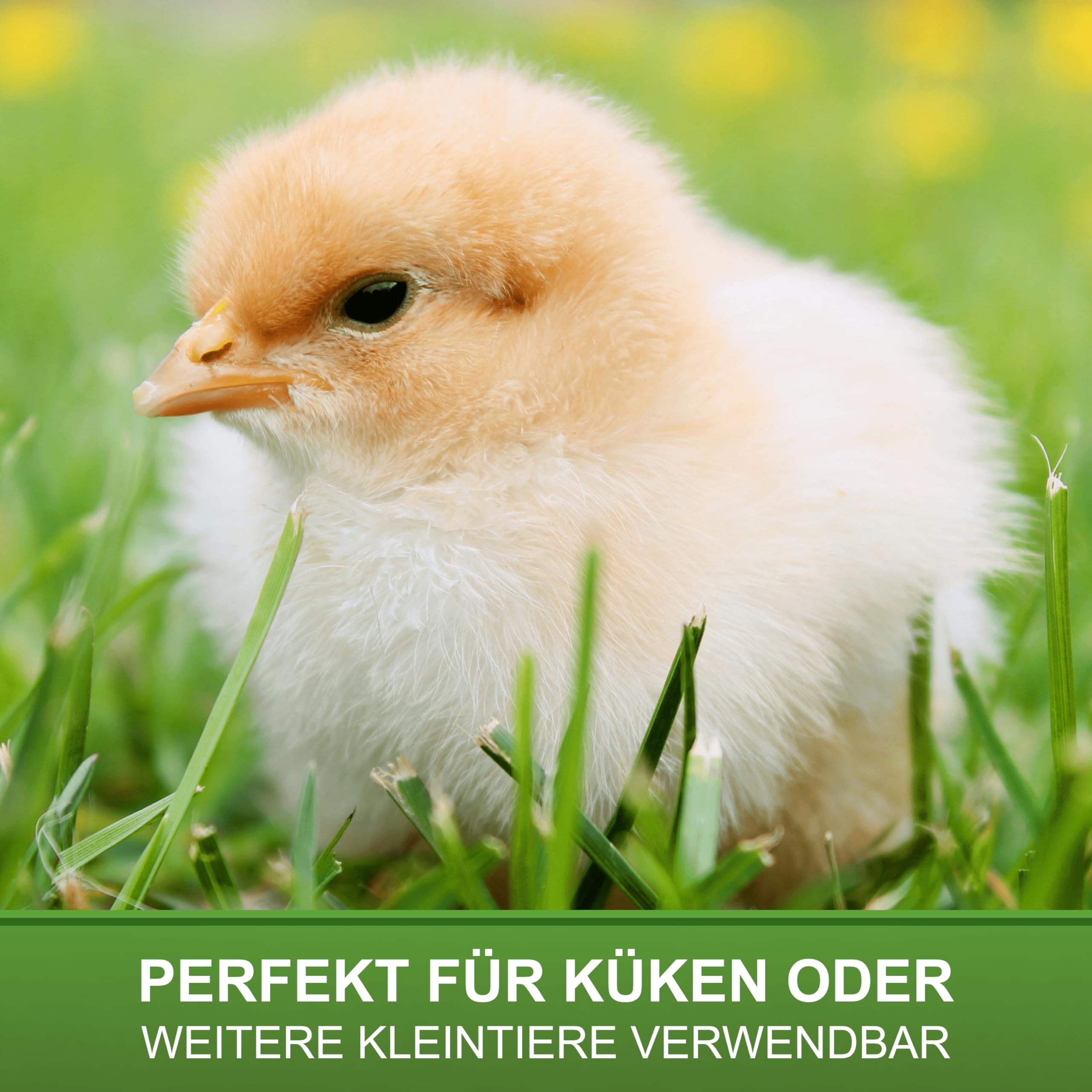 Küken Wärmeplatte 25x25cm, 13 Watt - Heizplatte für die Kükenaufzucht - Kükenwärmer, Kükenwärmeplatte - höhenverstellbar, effizient & sparsam - geeignet für Geflügel, Hühner & Reptilien