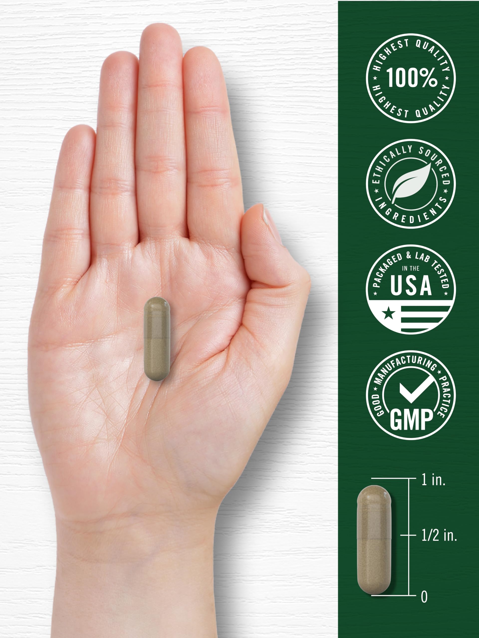 Carlyle Dong Quai Capsules | 250 Count | Traditional Herb — Amazon image 7