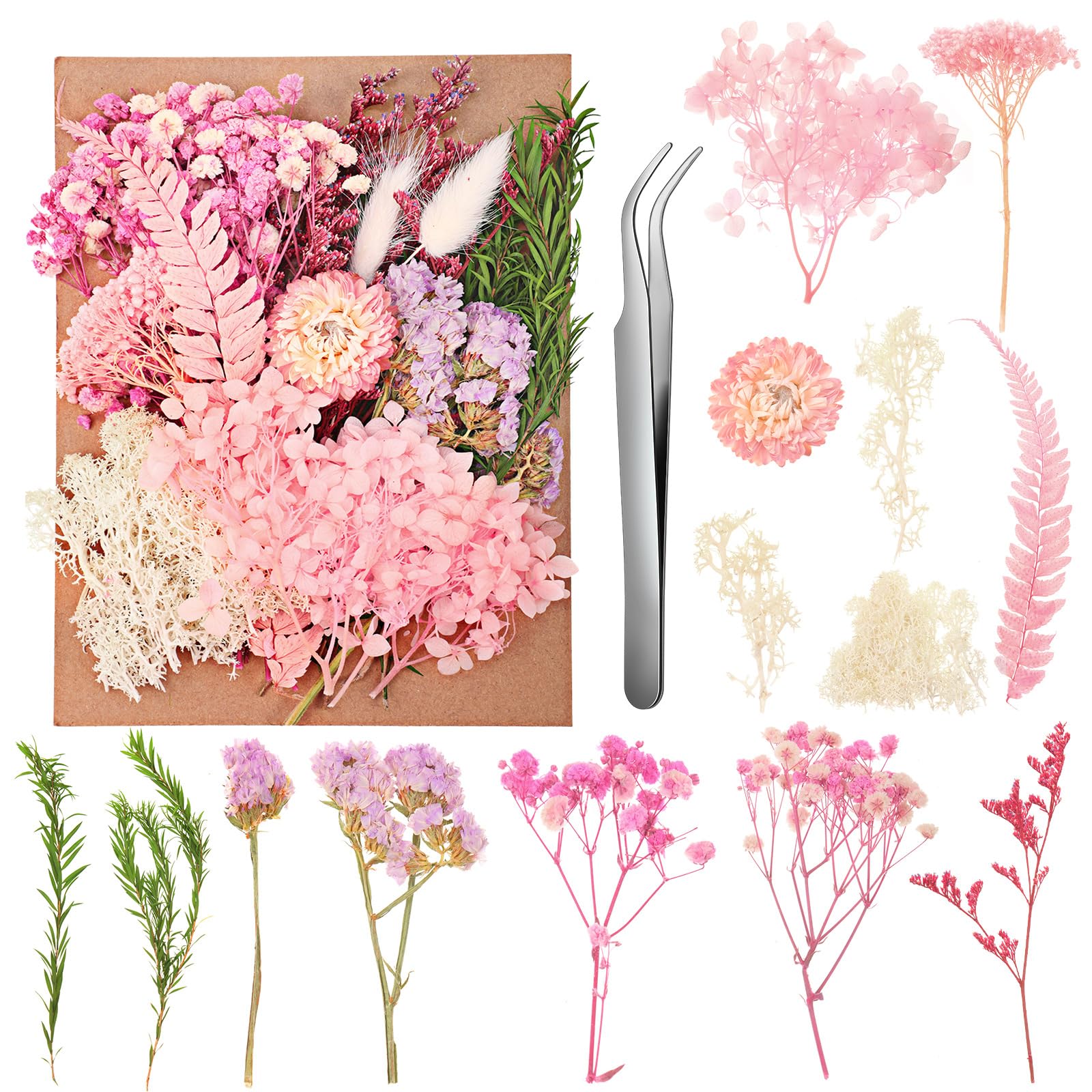 Fleurs Séchées Naturelles - Kit Créatif Avec Pince Et Cadre Photo - DIY Déco, Résine, Scrapbooking
