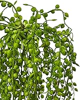 Vista 3 de Nearly Natural Senecio - Planta suculenta artificial, juego de 3