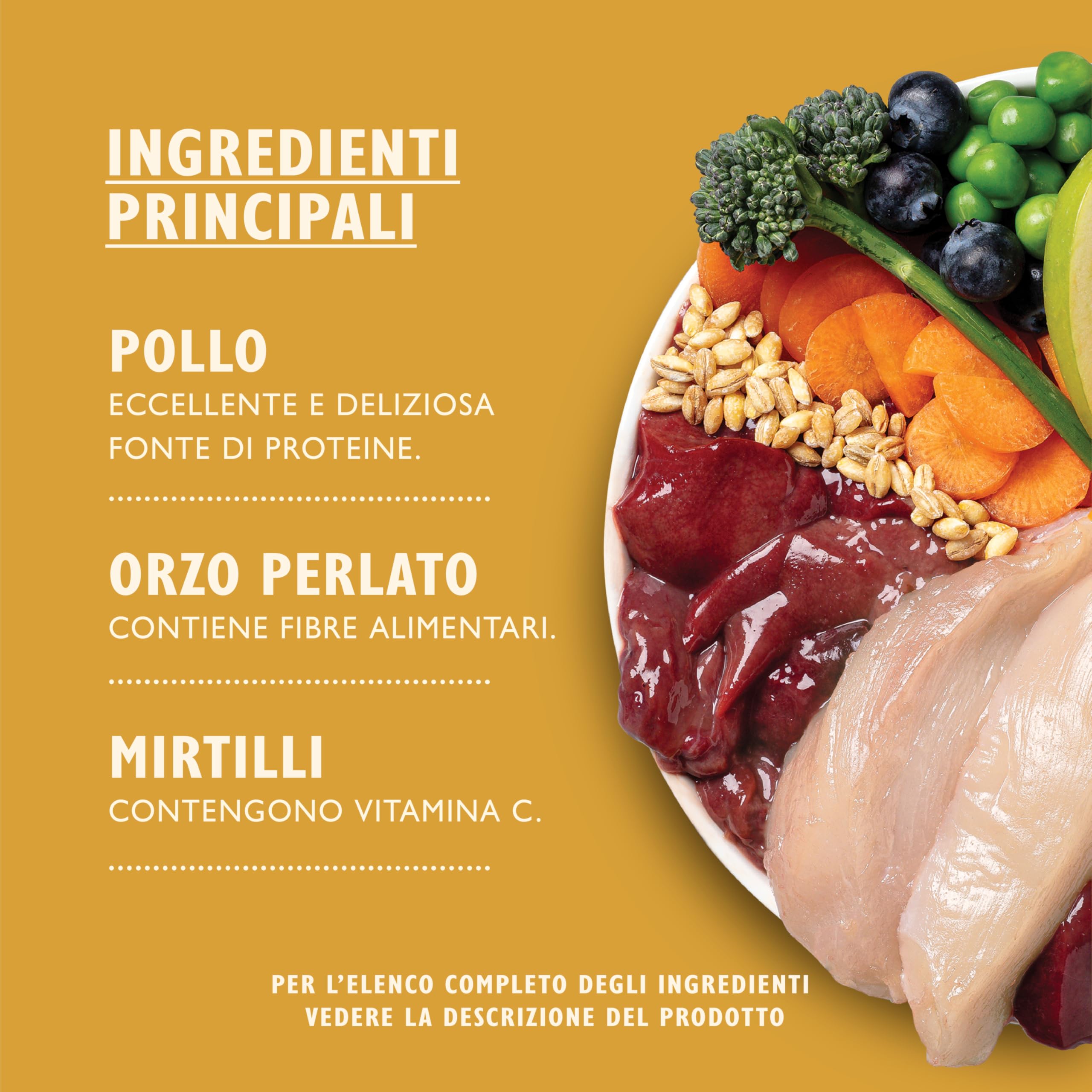 Lily's Kitchen Prodotto con ingredienti naturali Cibo umido per Cani Spezzatino di pollo con tacchino 6 x 400 g