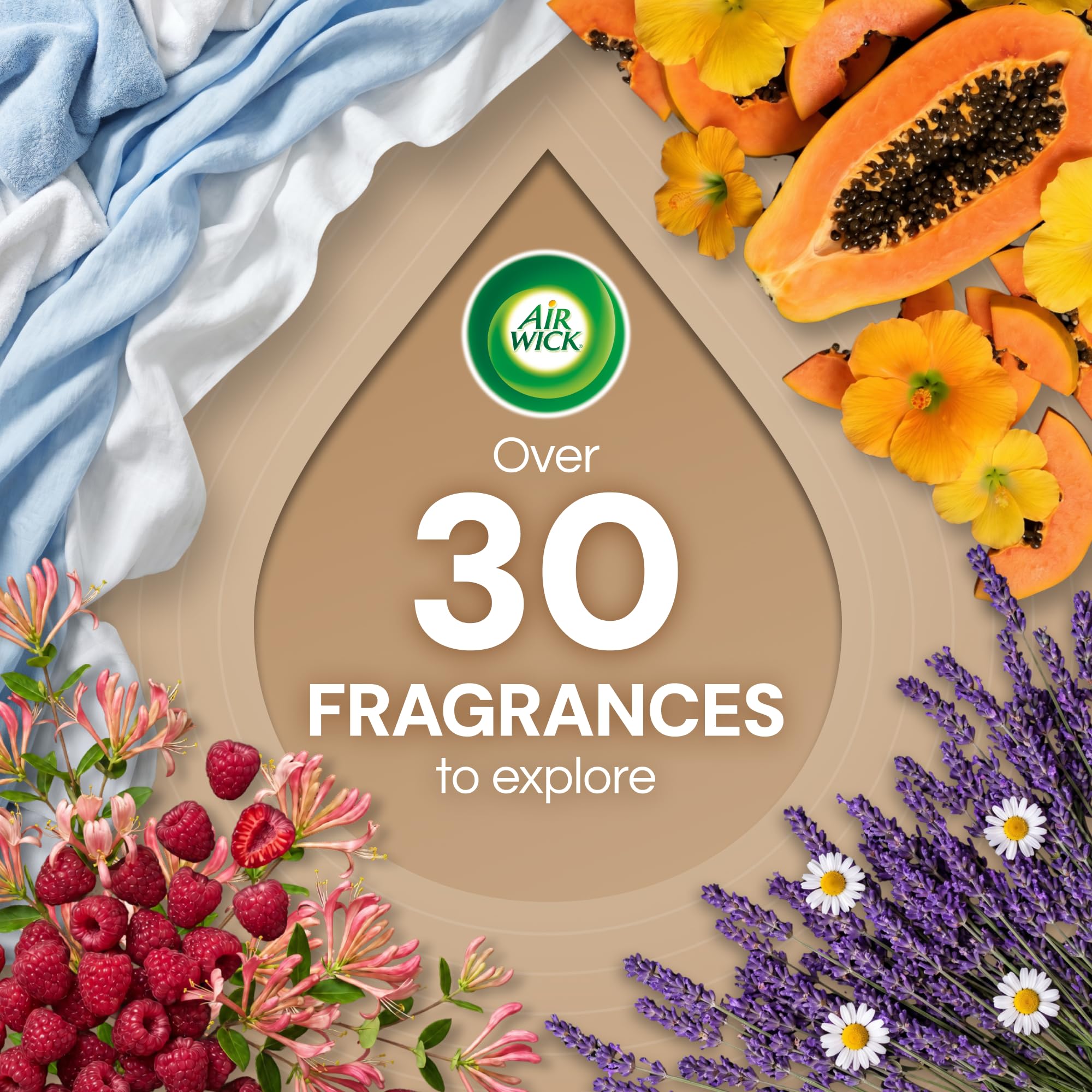 10 Count Scented Oil Refills B87494