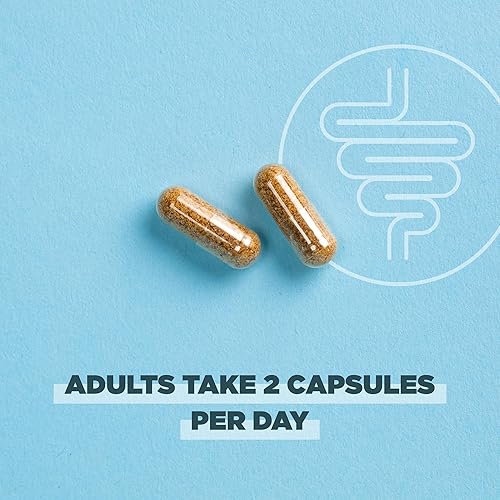 Miniatura 5 de Ancient Nutrition Probióticos regenerativos orgánicos certificados para la recuperación intestinal, probióticos para la recuperación intestinal,