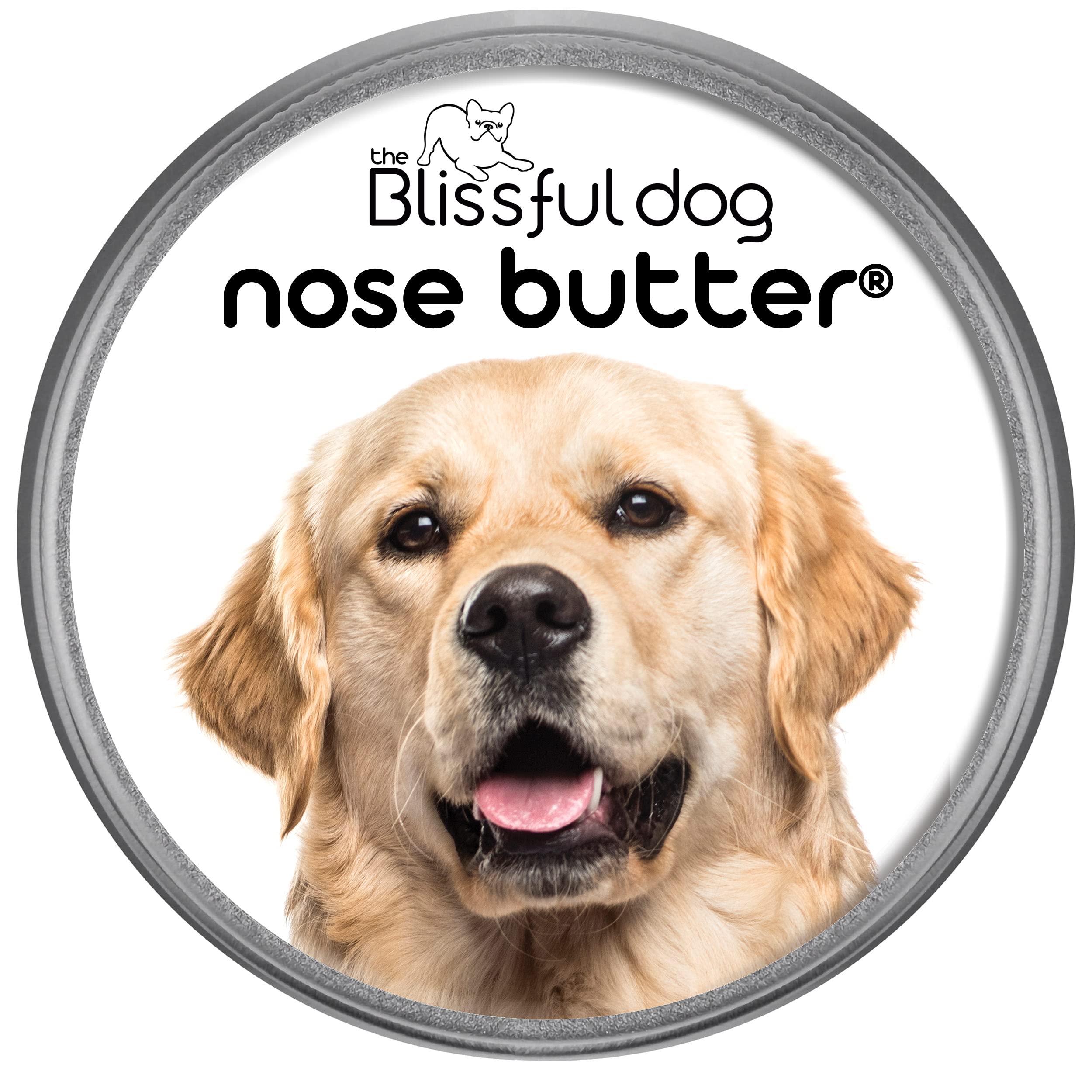 Dog Licking Peanut Butter Off Nose seeds.yonsei.ac.kr