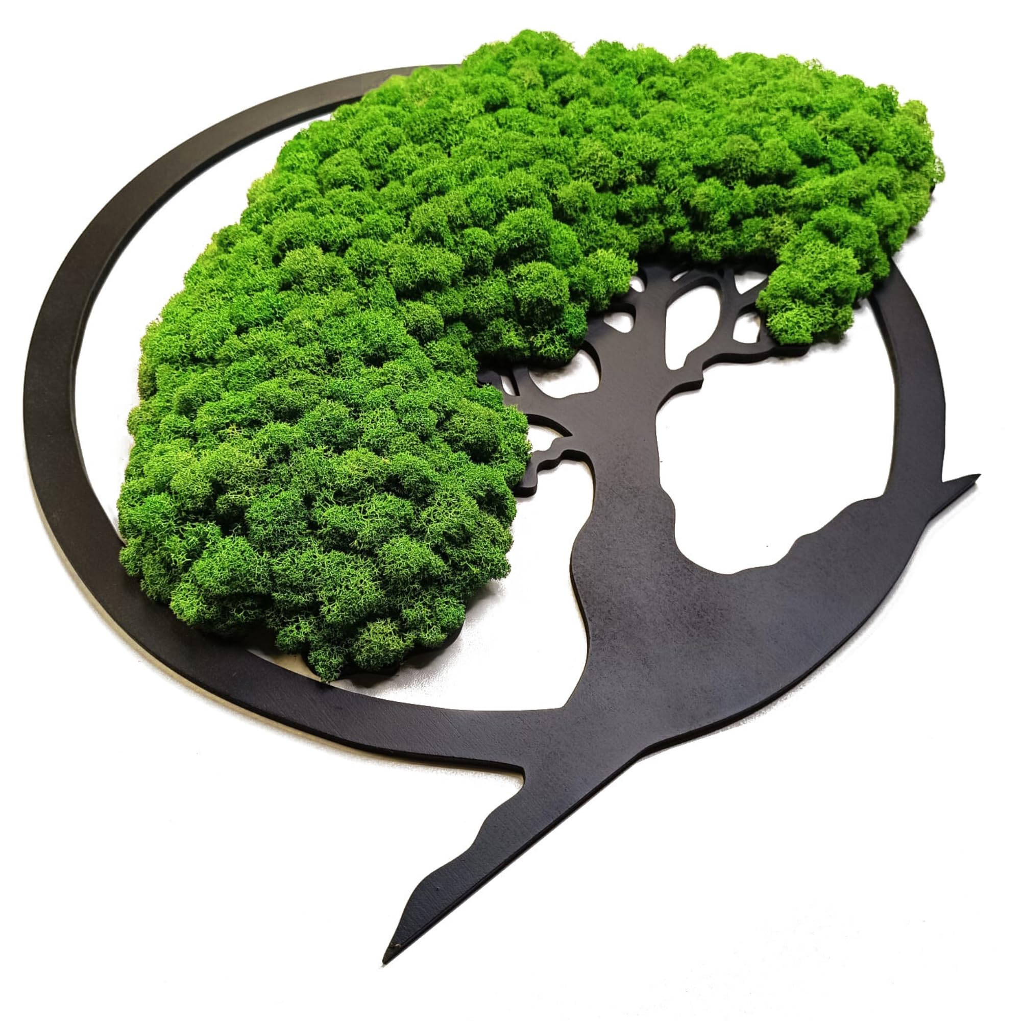 Scandinavian Moss Imágenes de musgo en forma de árbol, hermoso árbol de pared, trae vida a tu vivienda, mural de materias primas naturales y musgo decorativo, 50 cm