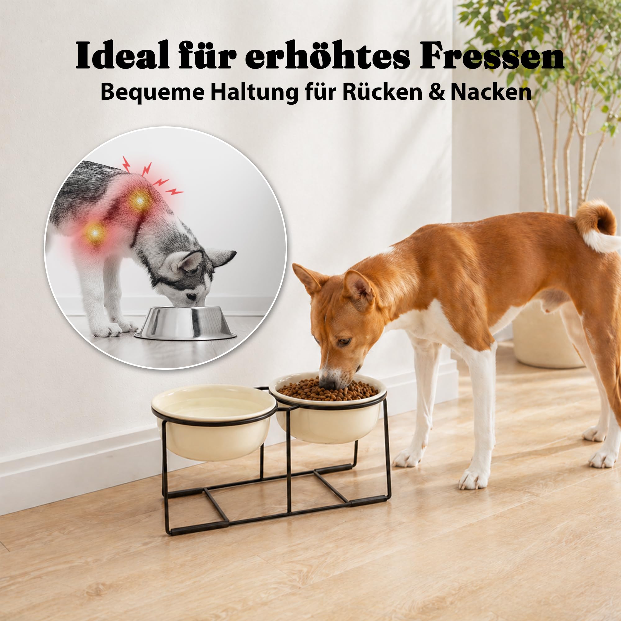 Hundenapf Set Erhöht Hundenäpfe Keramik - Doppel Fressnapf Hund Groß mit Rutschfestem Metallständer - Hunde Napfset für Futter Wasser - Ideal für Mittelgroße und Große Hunde - 2 x 1400 ml - Beige