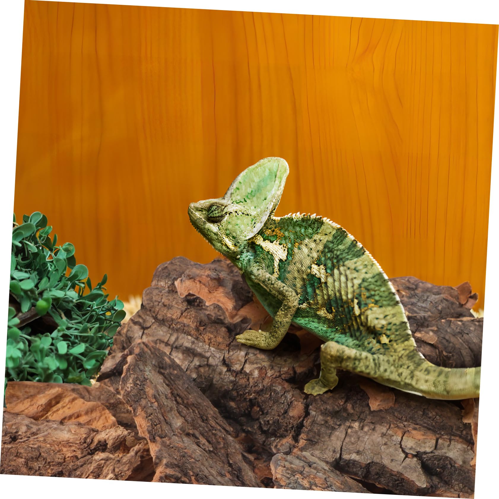 BESPORTBLE Corteza De Corcho para Reptiles Plataforma De Escalada Escondite para Reptiles Decoración De Habitat 14pc