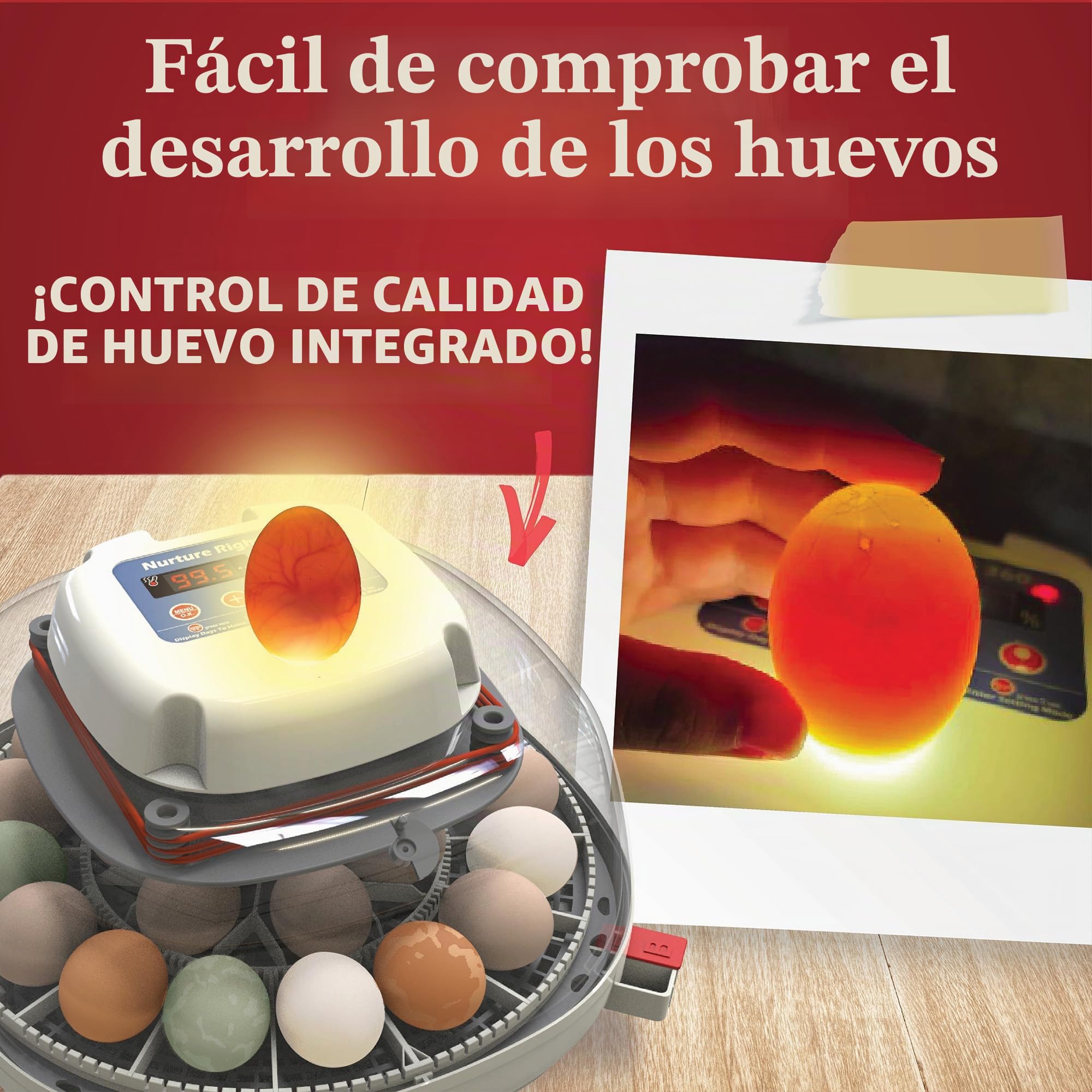 Harris Manna Pro Farms Nurture Right Incubadora | Incubadora de Huevos para incubar Pollitos | Vista de 360 Grados