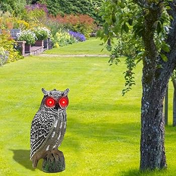 Amazon.co.jp: フクロウ 置物 鳥よけ 害鳥対策 置物 鳥よけ