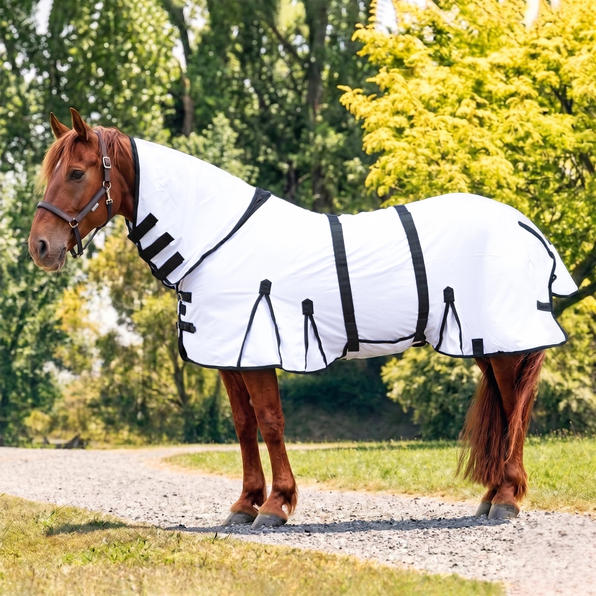 Horse Fly Sheet with Attached Neck Cover &amp; Tail Flap | UV Protection Mesh Horse Blanket, Full Body Bug &amp; Sun Shield, Buckles, Belly Wrap &amp; Gussets for Spring Summer Riding Rug (White, 76")
