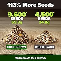 Vista 540 de HOME GROWN Semillas de diente de león para plantar 600 semillas de hierbas medicinales tradicionales (~ 0.01 oz) sin OMG cultivan hojas y flores