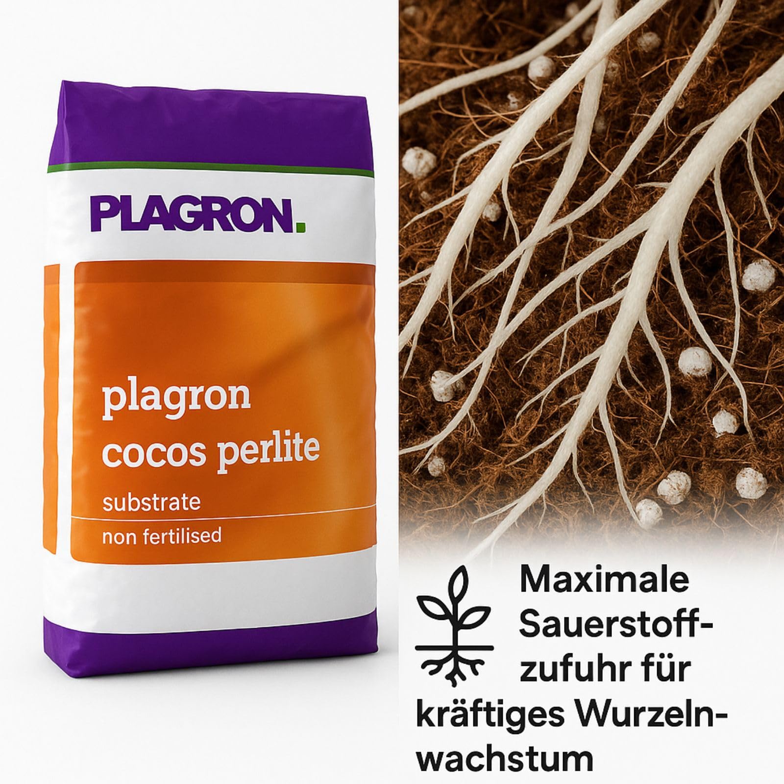 Weedness Plagron Coco 50 Liter 70/30 Mischung mit Perlite Palette - Blumenerde Grow Balkon-Pflanzen Pflanzerde Gartenerde Tomatenerde