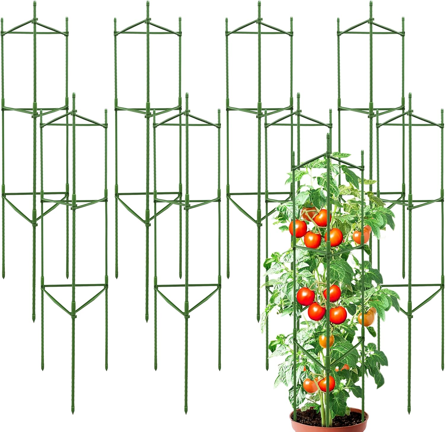 8 Pack 48 Inch Tomato Cages for Garden, Triangle Metal Plant Support with Rust-Resistant Coating, Heavy Duty Tomato Trellis for Raised Bed, Pots, Cucumbers, Peppers & Climbing Plants