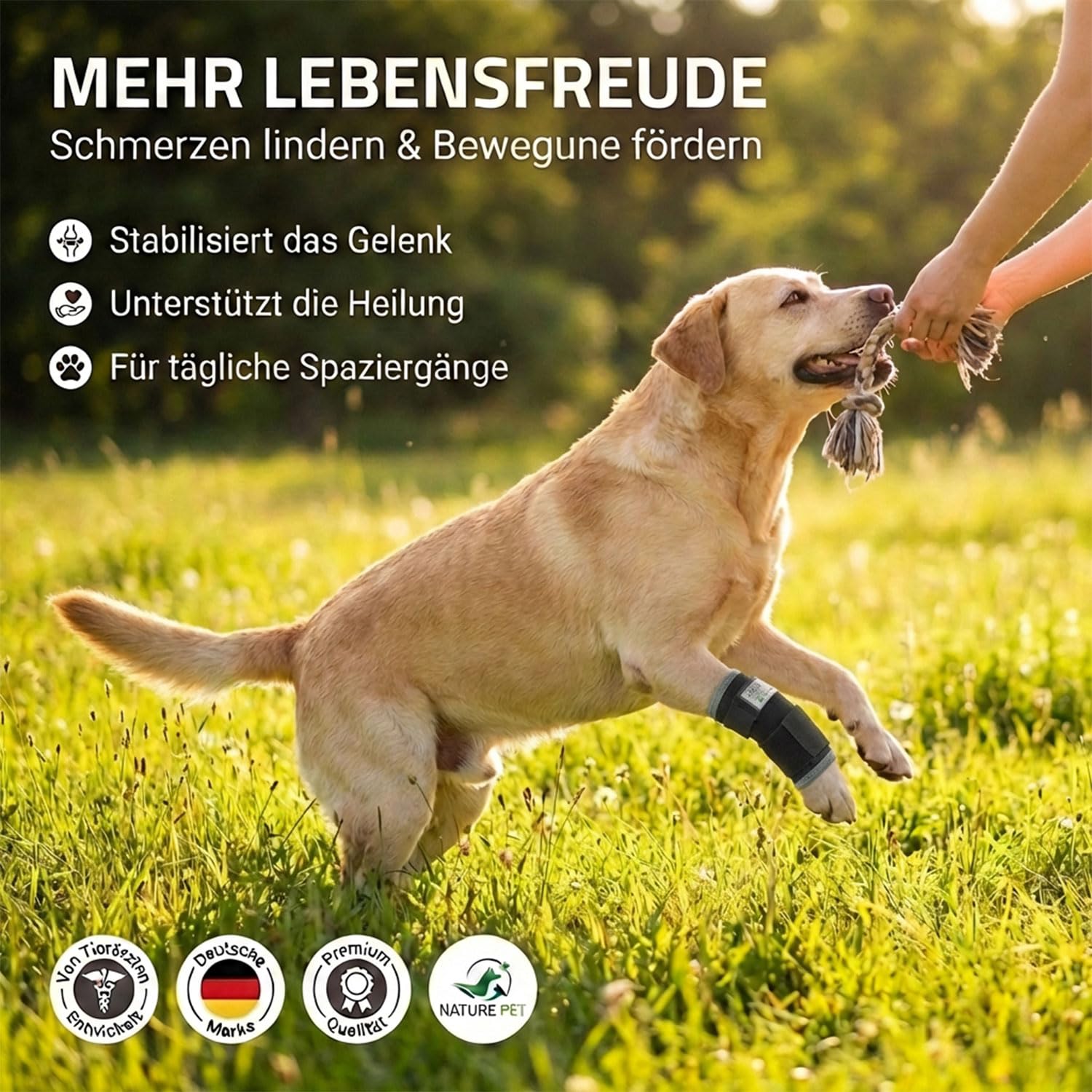 NATURE PET Premium Benda per Polso Cani/per l’articolazione Carpale/per Le Zampe Anteriori - Nero - XL
