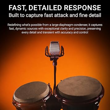 SE ELECTRONICS T2 Multi-Pattern Large Diaphragm Condenser Microphone with Titanium Capsule, Pads & Low-Cut Filters & Shockmount - Professional Studio Recording Microphone
