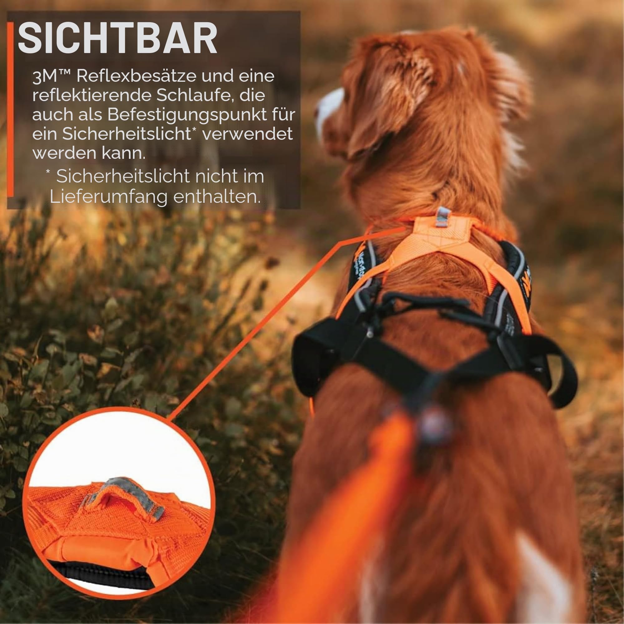 Non-Stop dogwear FREEMOTION Harness 5.0 |111| Hundegeschirr für alle Sportarten, Größe:7