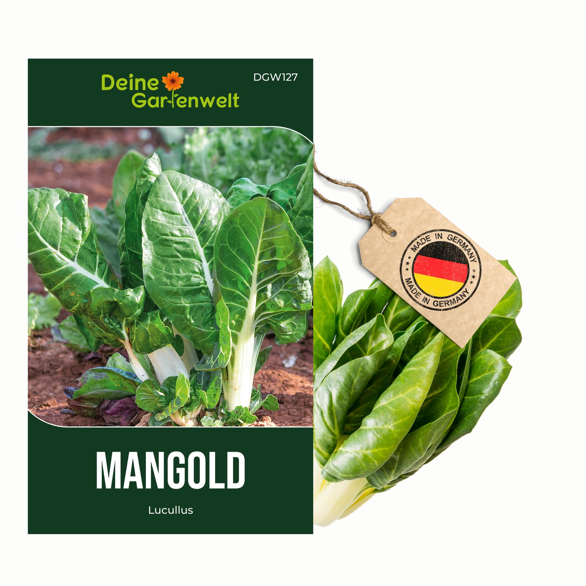 Mangold Lucullus Samen - Beta vulgaris - Mangoldsamen - Gemüsesamen - Saatgut für 70 Pflanzen