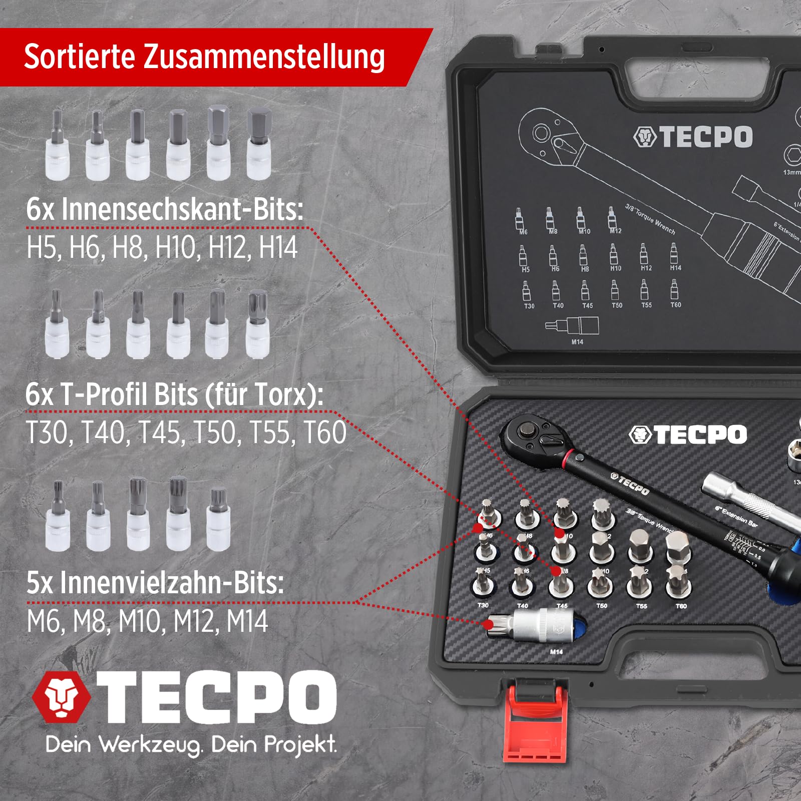 TECPO Jeu de clés dynamométriques pour moto 3/8" 5-60 Nm Clé à gradation fine