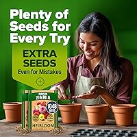 Vista 379 de HOME GROWN Más de 1000 semillas de cilantro para plantar en interiores o exteriores, hierbas tradicionales sin OMG, semillas de plantas de cilantro