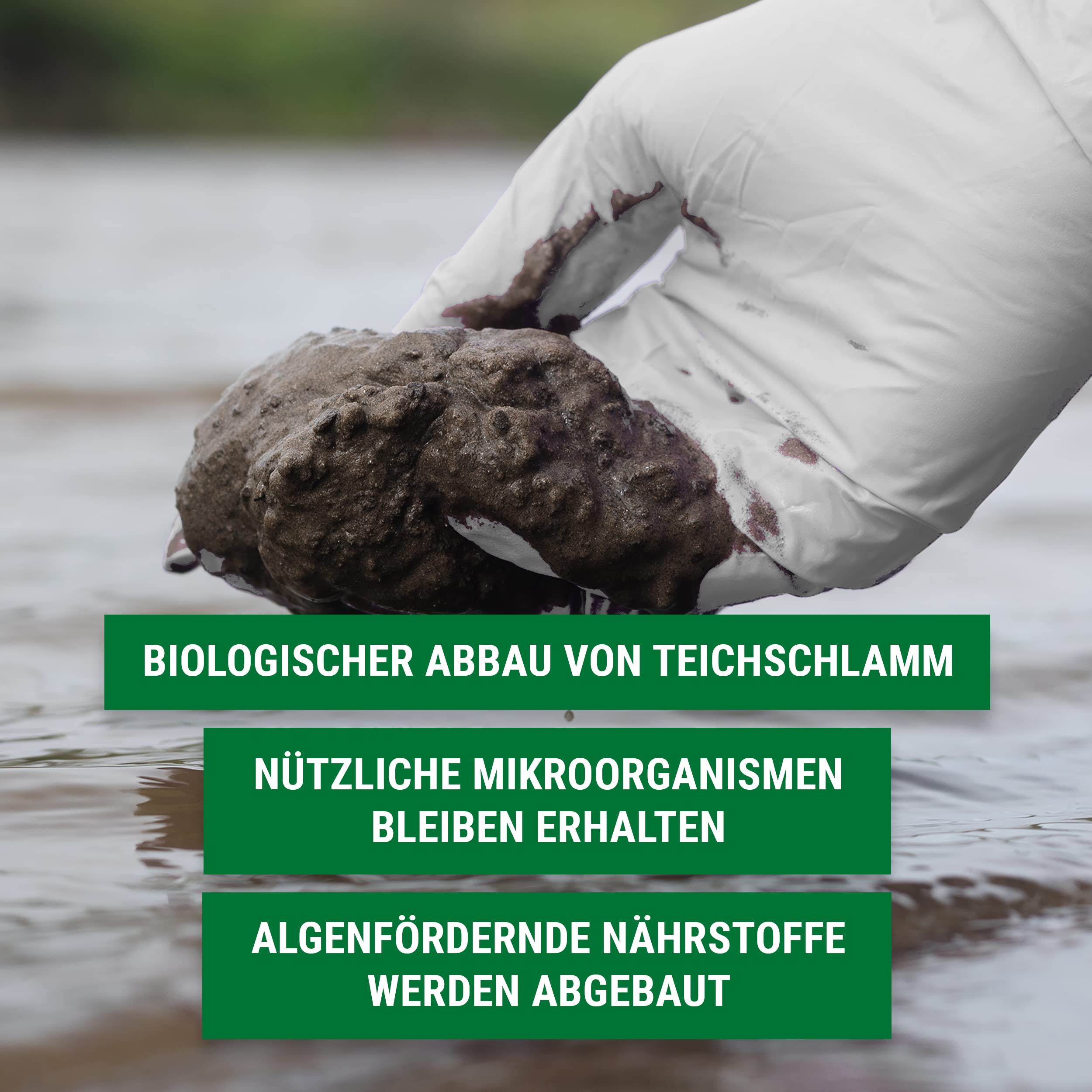 FIVE ELEMENTS Bio-Teichschlammentferner | 2,5 L | ideal für Frühjahr | 2026: Verbesserte Wirkung | Teichwasser-Klärung | flüssig