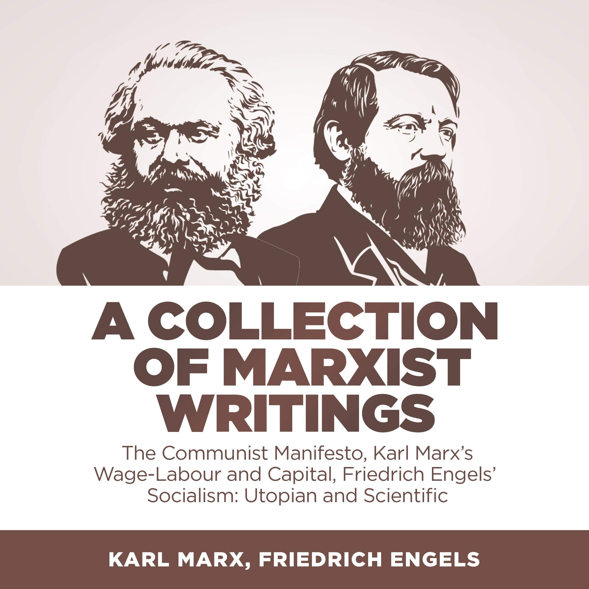 Cover art for A Collection of Marxist Writings