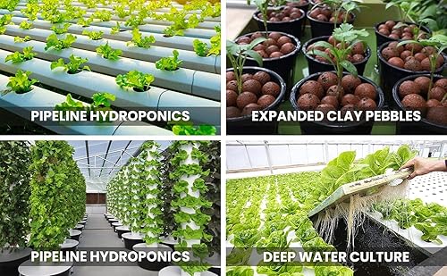 Miniatura 6 de KP KOOL PRODUCTS 2 pulgadas - Combo de 25 macetas de red para plantas de interior y exterior - Macetas pequeñas de plástico para hidroponía - Cesta