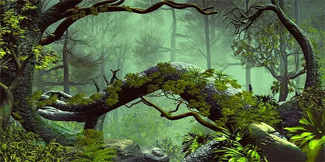 MIRRORANG Foggy Forest Terrarium Background - 120x61cm Vinyl Reptile Habitat Decor