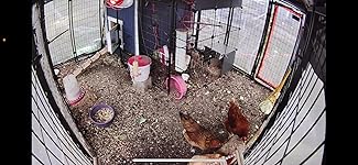 Review Image by Patrick Morrison Patrick Morrison