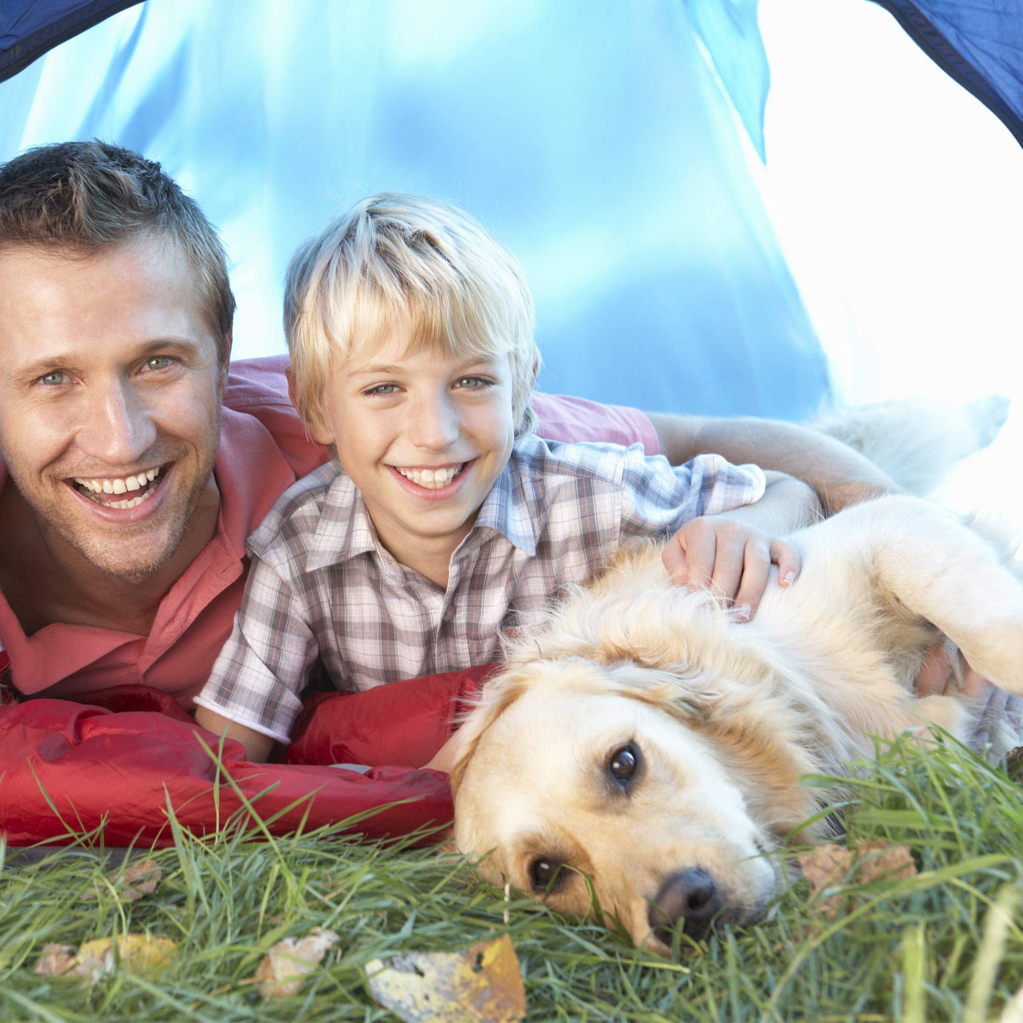 PETMAKER Cama Impermeable de Espuma viscoelástica para Mascotas, Cama para Perros para Interiores y Exteriores, con Parte Inferior Antideslizante Resistente al Agua y Funda extraíble Lavable, 30 x 21