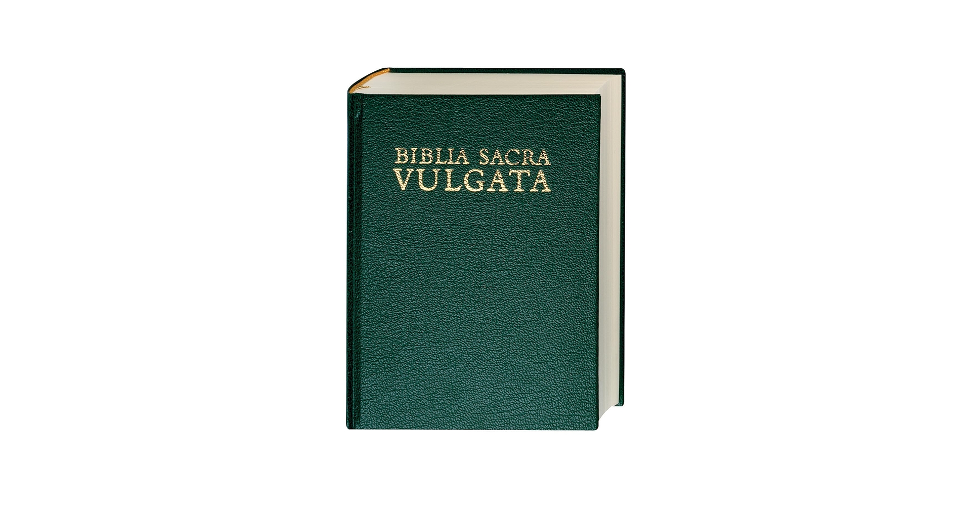 洋書 BIBLIA SACRA VULGATA WEBER-GRYSON Biblia Sacra Vulgata, 5th edition - Our Lady of Clear Creek