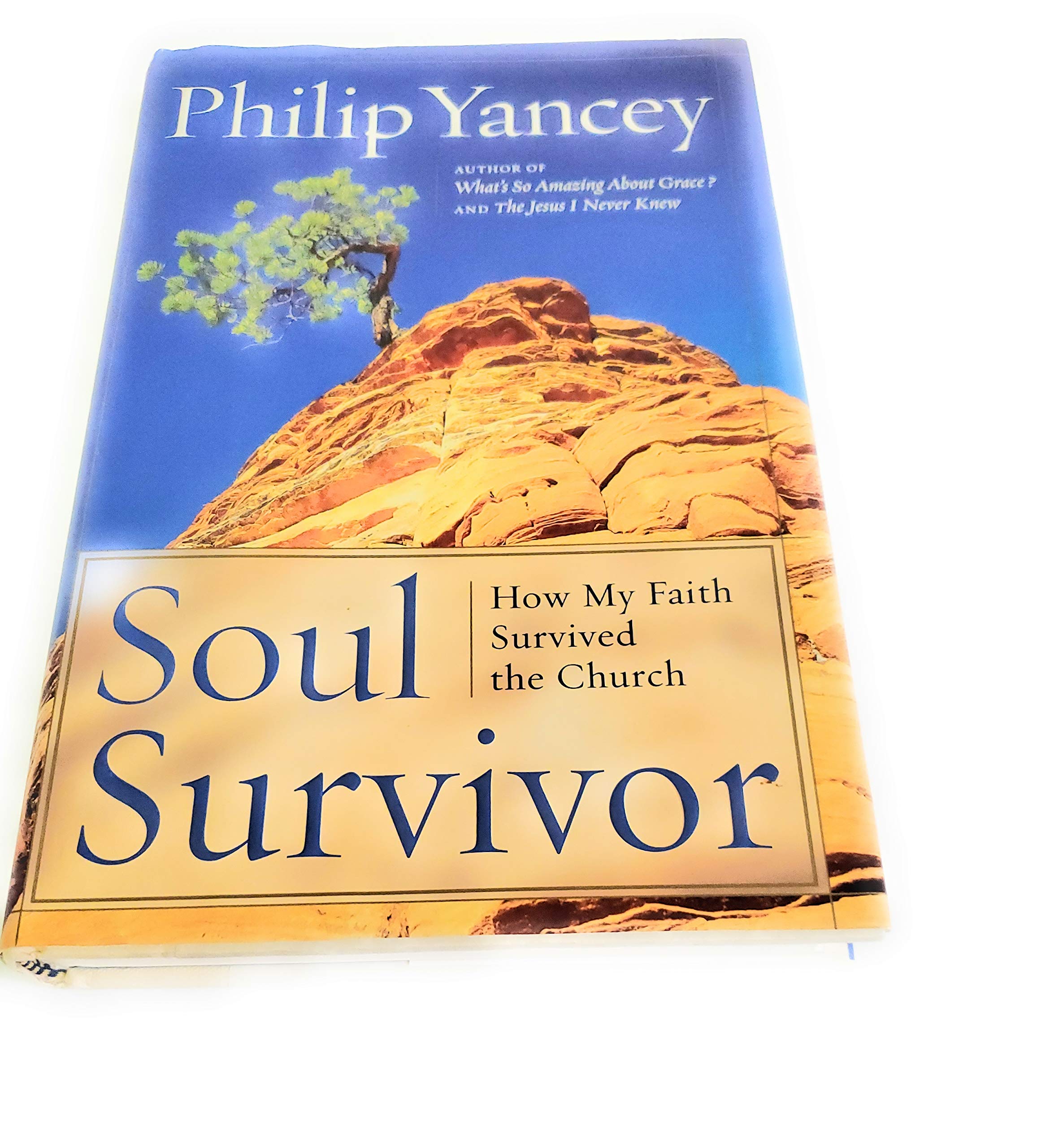 Soul Survivor: Why I am Still a Christian