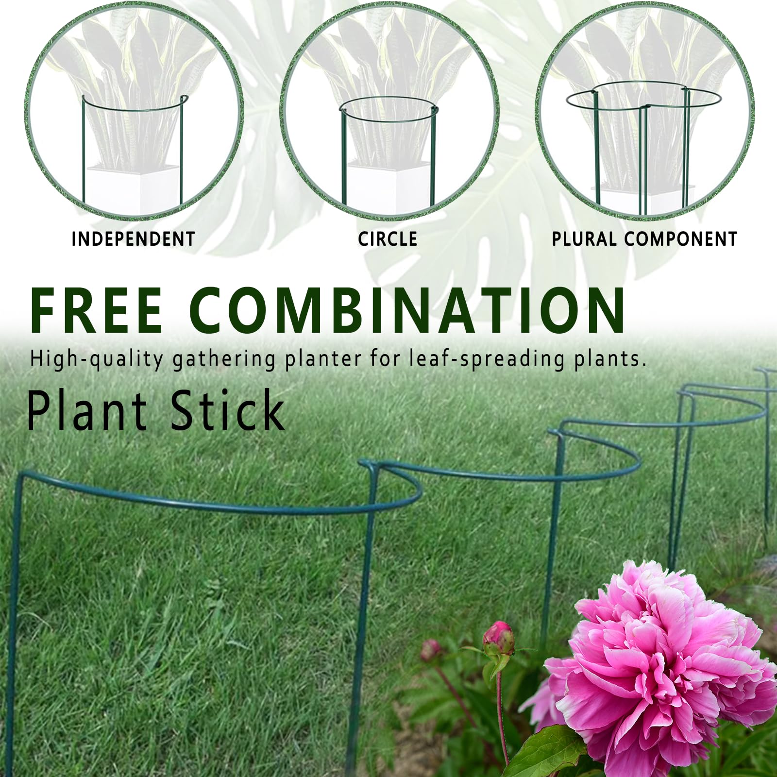 LKSSZS Lot de 12 piquets de support pour plantes de jardin, cages et supports demi-ronds en métal, support de bordure pour plantes d'intérieur et