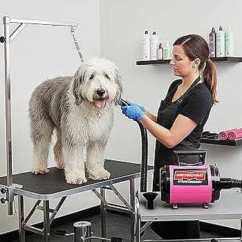 Electric Motor Controls : Amazon.com: METROVAC AFTD-3: Air