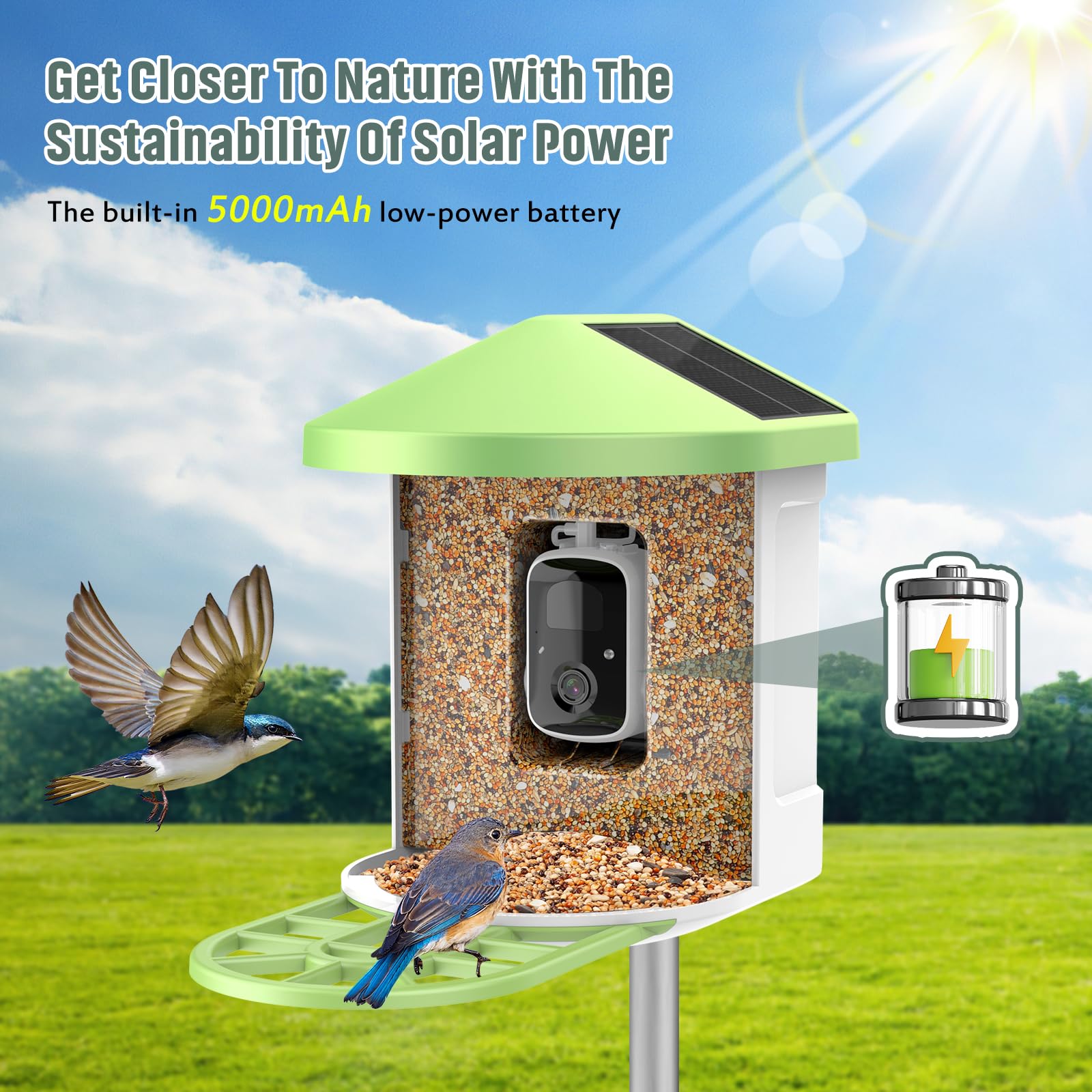Bird Feeder FEELNEEDY Comedero Inteligente Para Pájaros Con Cámara, Cámara  De Observación De Aves HD 2K Con Energía Solar, Zoom 3X Y Vista De 173°,  Identificación AI, Alertas De Movimiento, Impermeable IP65, image size:1600x1600