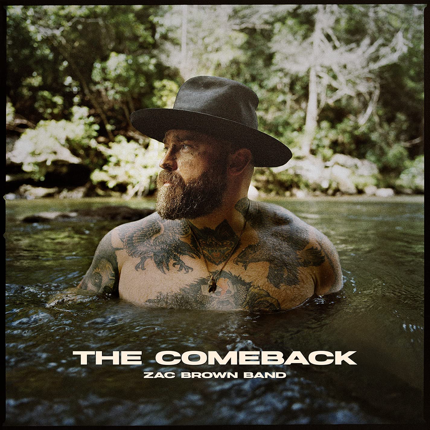 The Comeback: Zac Brown Band: Amazon.ca: Music