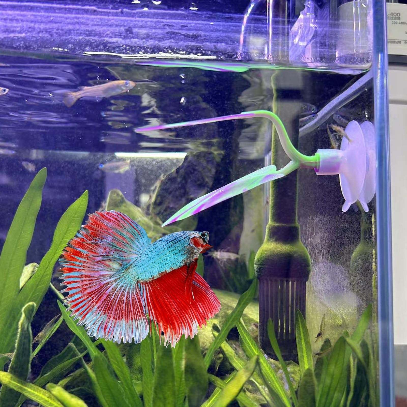 SLSON Betta Hamac Feuille de Lit, Tapis du Repos,Aquarium Decoration Plantes,Décoration de Réservoir à Poisson en Matériau Doux Silicone,Ventouse Forte, Pas Facile à Déplacer