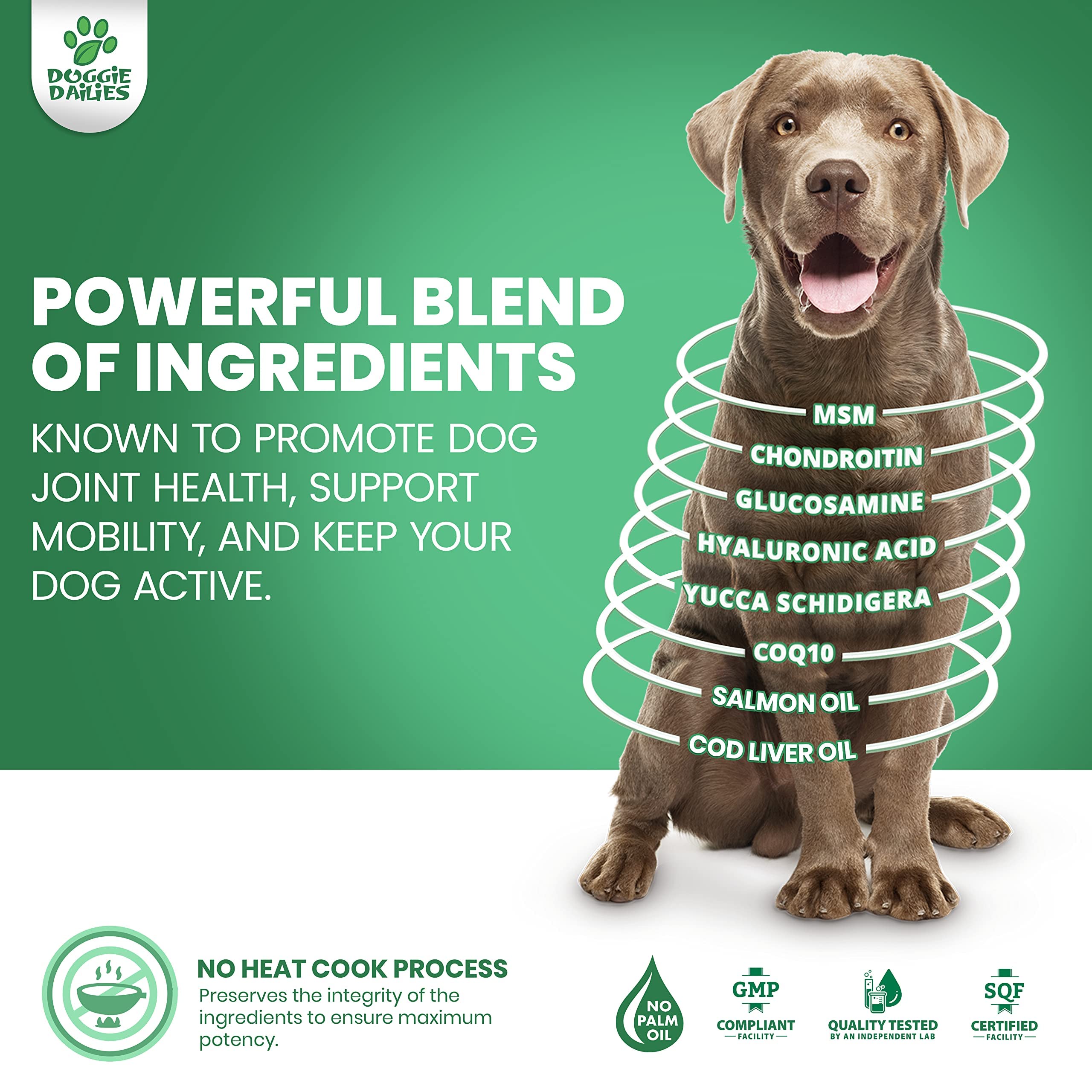 Can Glucosamine Cause Liver Damage In Dogs