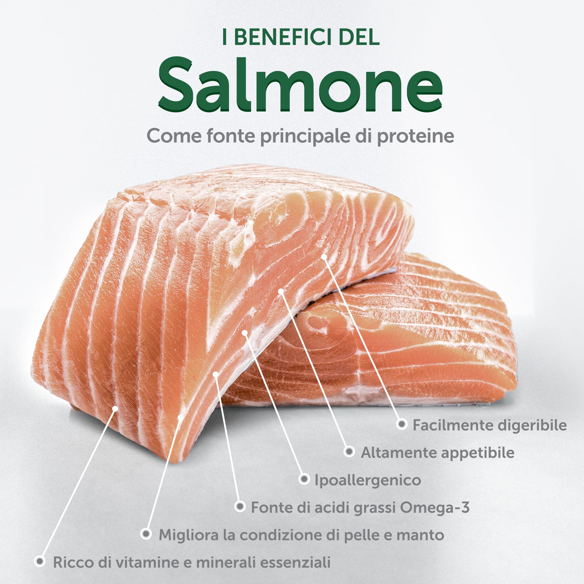 Nature's Protection Cani bianchi di cura superiore (Maltese, Bichon Frise) Cibo secco I Grain Free I Junior (da 3 a 12 mesi di età) Tutte le razze con cappotto bianco I Salmone I No Lacrima, 1,5 kg