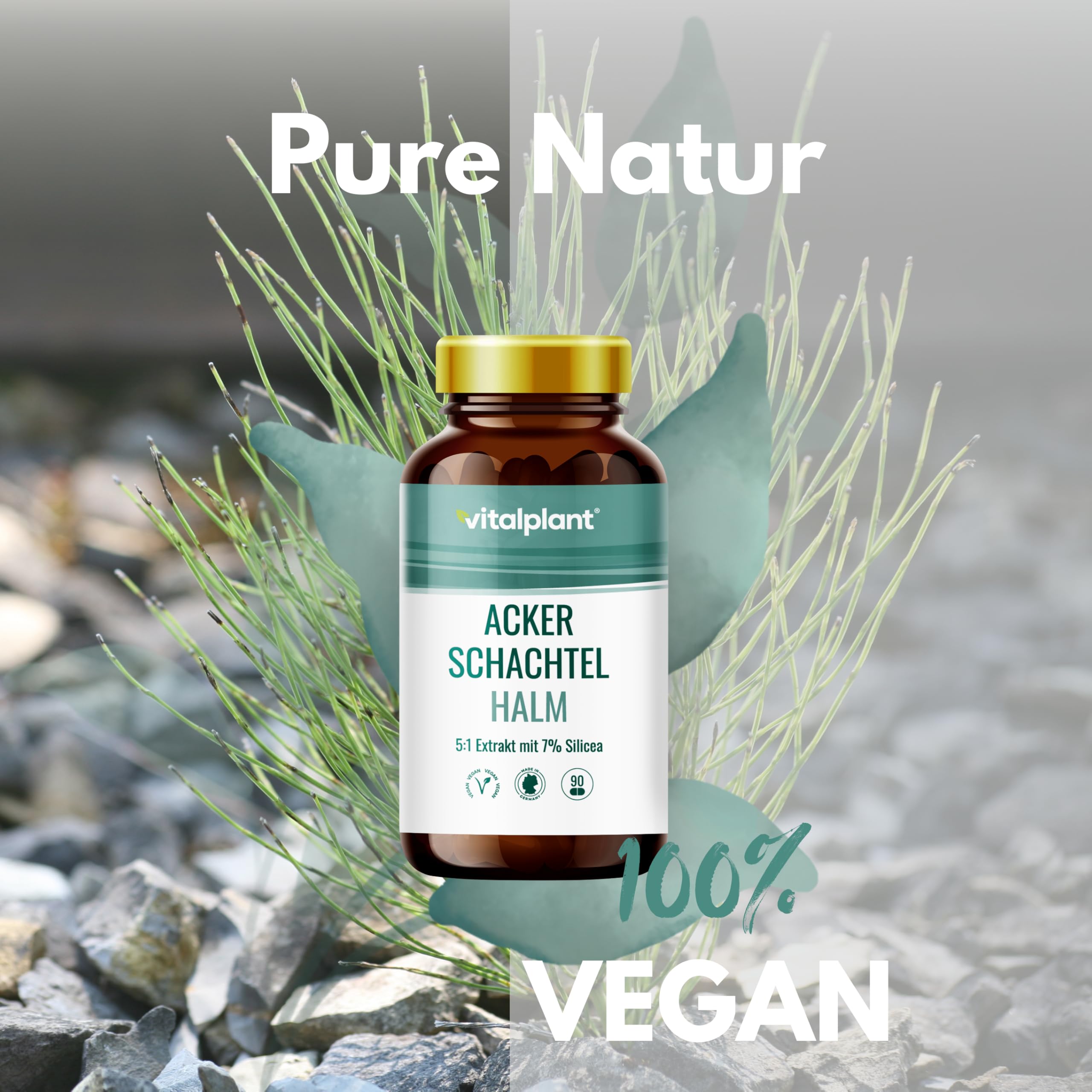 Vitalplant® Ackerschachtelhalm Extrakt 500mg im Braunglas - 120 Kapseln Hochdosiertes Schachtelhalm Extrakt (5:1) mit organischem Silizium - Vegan