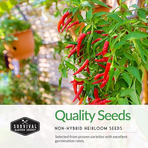 Miniatura 3 de Survival Garden Seeds Bóveda de semillas de colección de pimientos picantes  Cayena, Habanero, Jalapeño y Serrano Paquetes de semillas para cultivar
