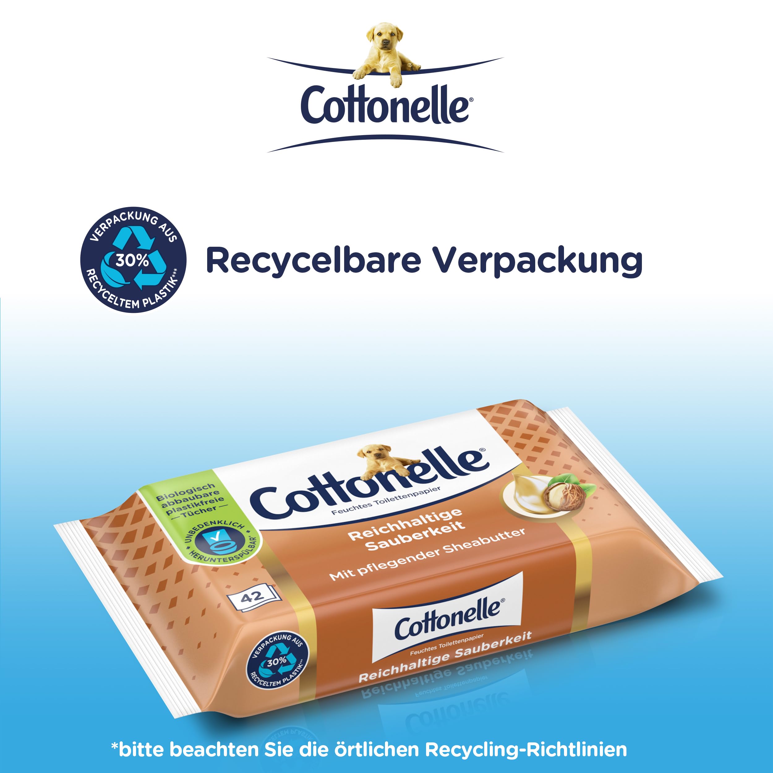 Cottonelle Mein Spa mokry papier toaletowy, masło kaszmirowe i shea, biodegradowalny, nie zawiera plastiku, możliwość ponownego zamknięcia, opakowanie ekonomiczne, 12 x 42 chusteczki nawilżane