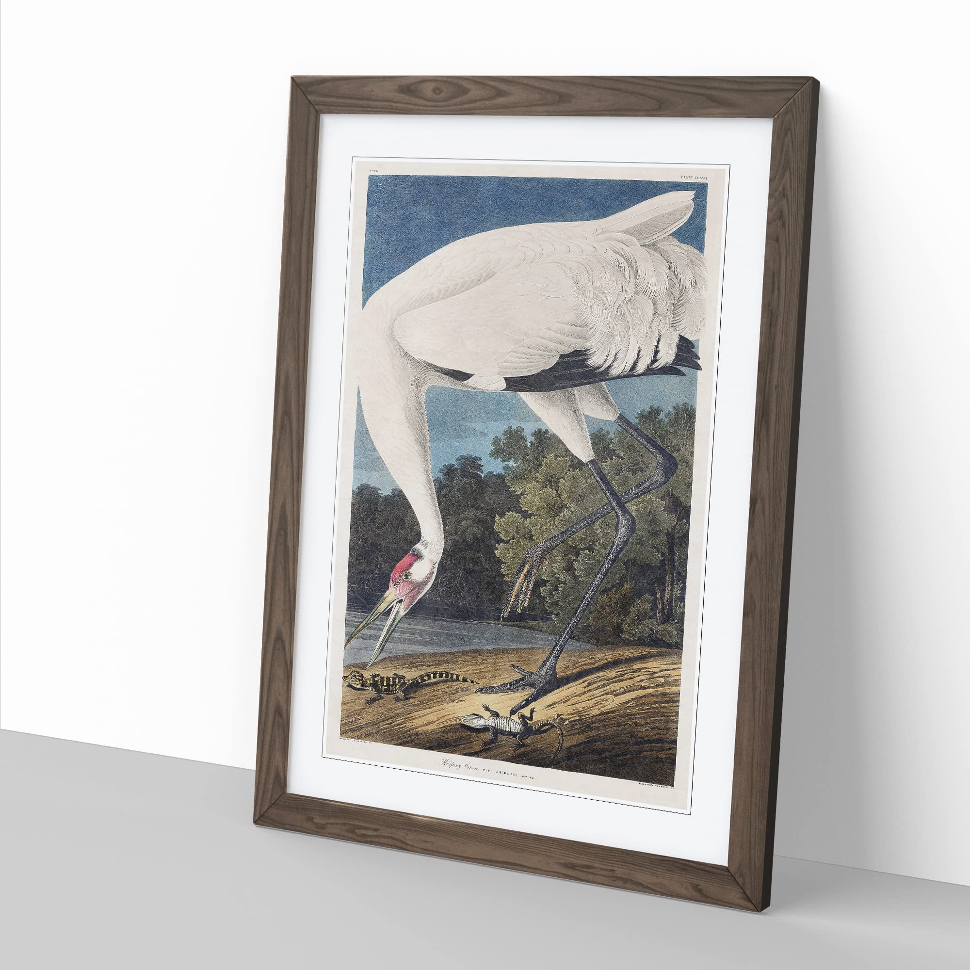 Hooping Crane Bird By John James Audubon Vintage Framed Wall Art Print - Image 3