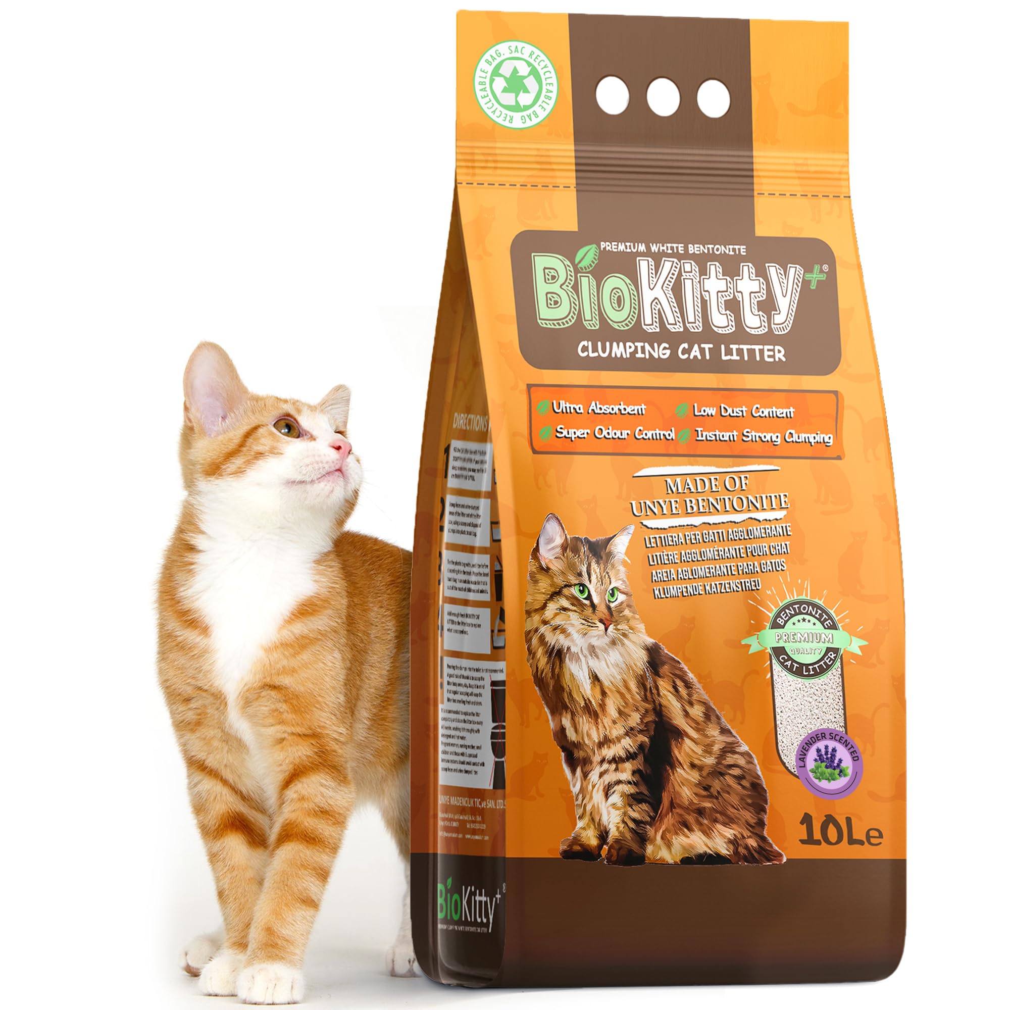 BioKitty