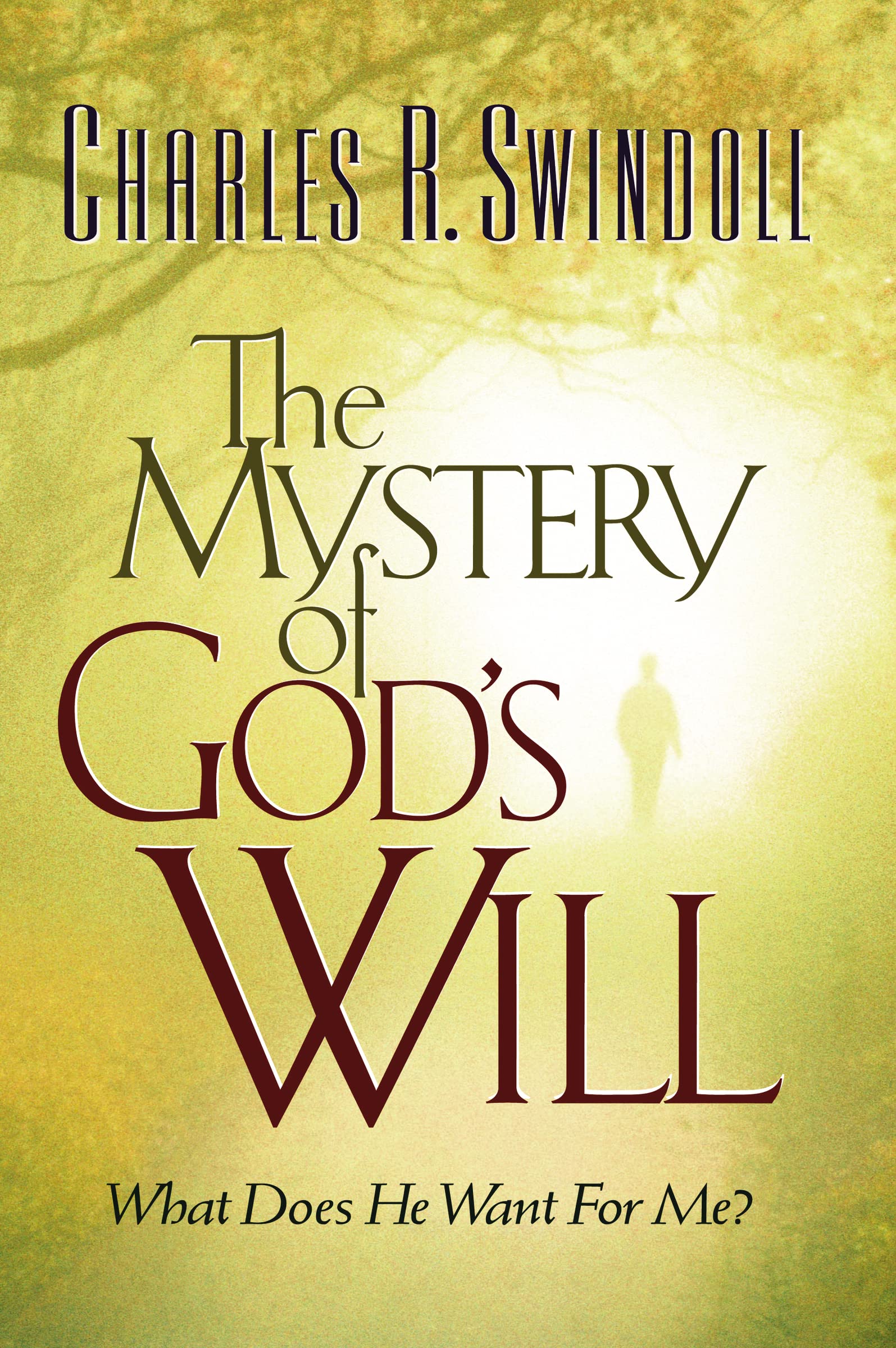 Mystery of God's Will: What Does He Want For Me?