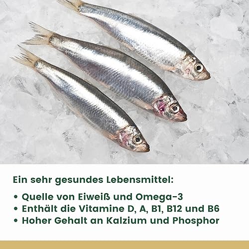 Miniatura 5 de Luças Sardinas portuguesas en aceite de oliva - 4.23 oz (120 g) - Producto de Portugal